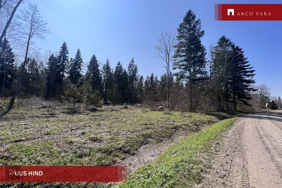 Земля жилой застройки, 17710 m² участок в Saaremaa vald, Kotlandi küla - фото 2