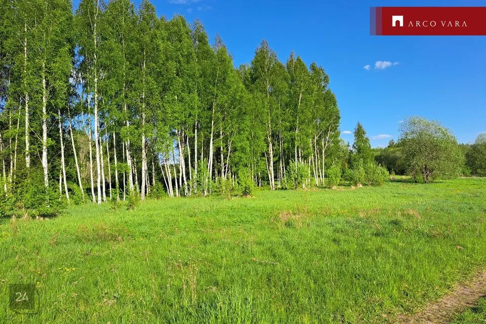 Cultivated land, 22300 m² land in Kambja vald, Pühi küla - photo 2