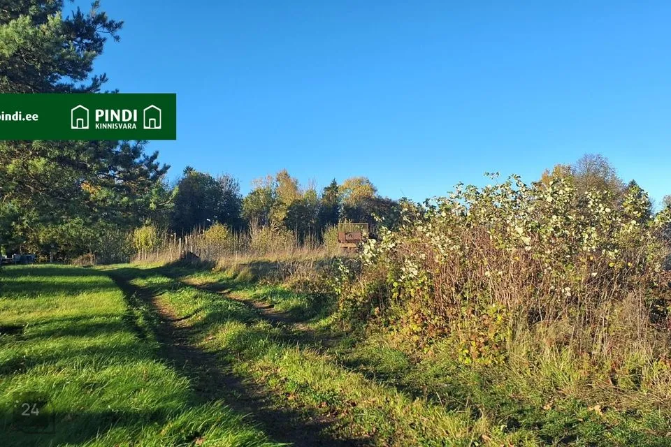 Maatulundusmaa, 87738 m² Maa  -  Rae vald, Vaskjala küla - foto 4