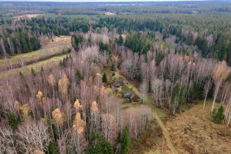 Elamumaa, 20241 m² Maa  -  Kanepi vald, Jõgehara küla - foto 2