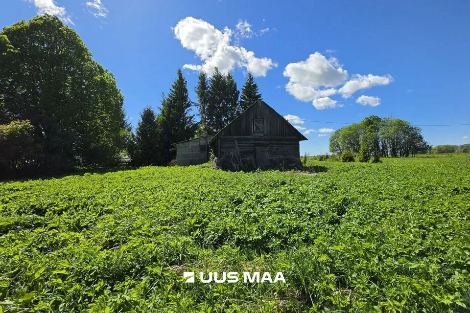 Земля жилой застройки, 15133 m² участок в Tapa vald, Tõõrakõrve küla - фото 3