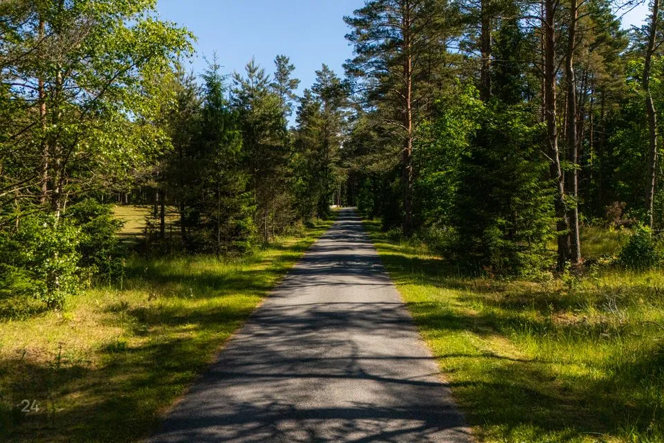 Sotsiaalmaa - üldkasutatav maa, 9910 m² Maa  -  Saaremaa vald, Mätasselja küla - foto 2