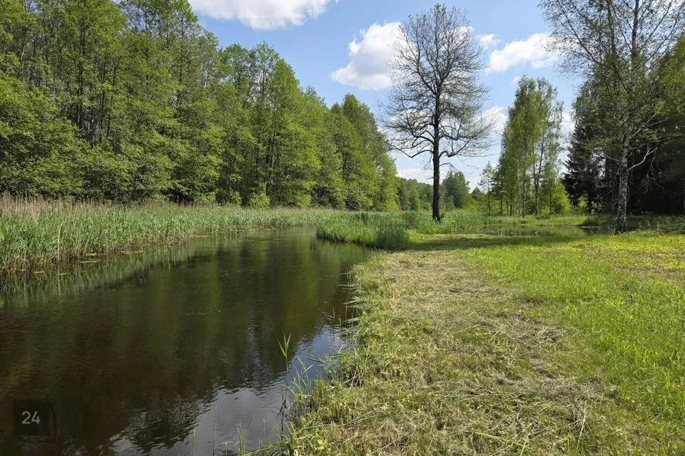 Elamumaa, 15600 m² Maa - Rõuge vald, Nursi küla