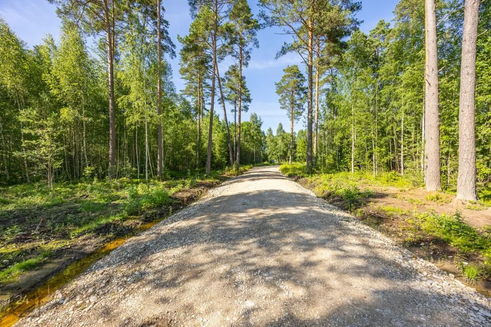 Elamumaa, 10875 m² Maa  -  Kose vald, Tuhala küla - foto 5