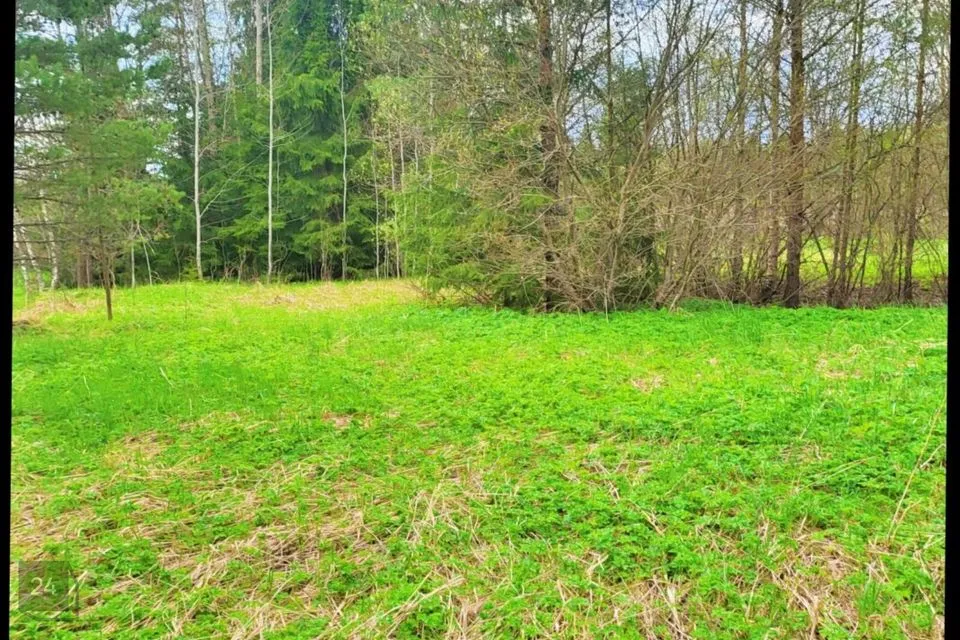 Tootmismaa, 10238 m² Maa  -  Peipsiääre vald, Vara küla - foto 5