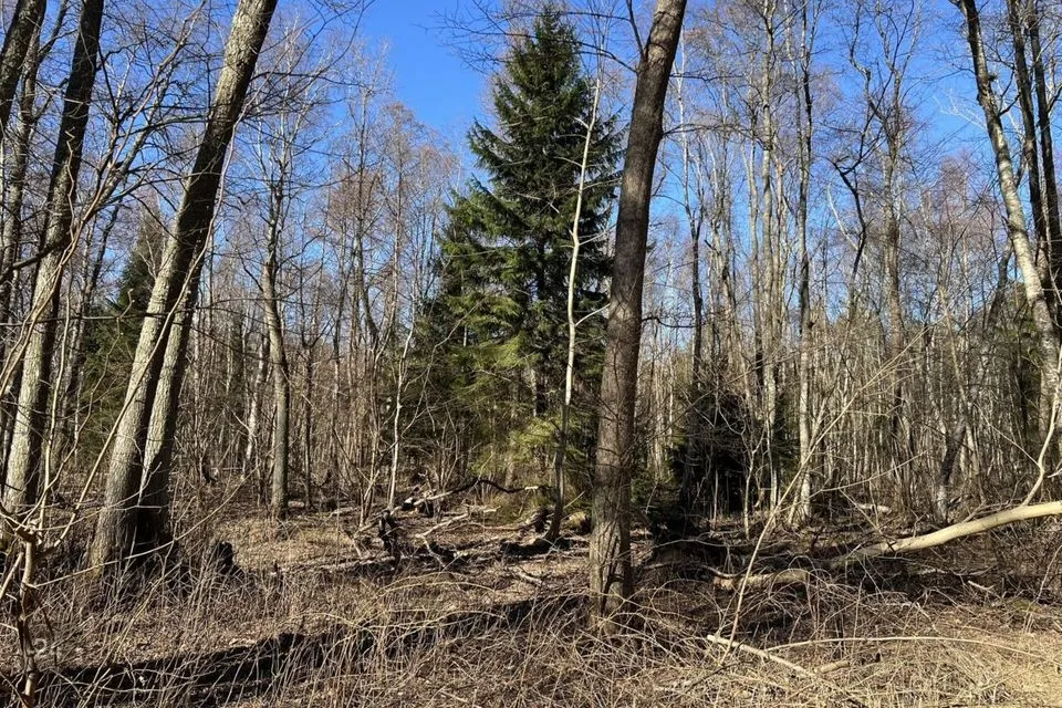 Elamumaa, 10238 m² Maa  -  Harku vald, Suurupi küla - foto 5