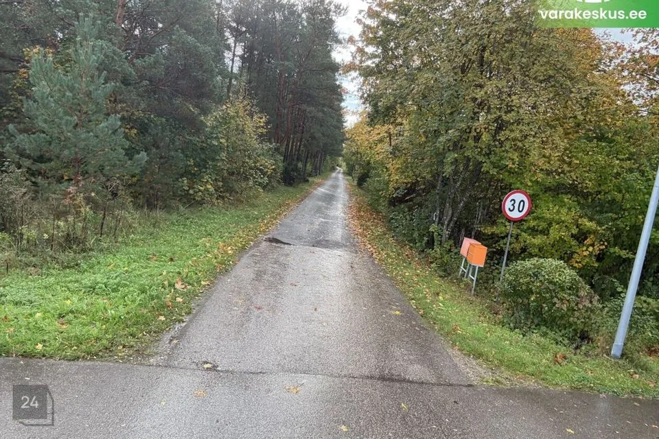 Transpordimaa, 95282 m² Maa  -  Saaremaa vald, Muratsi küla - foto 4