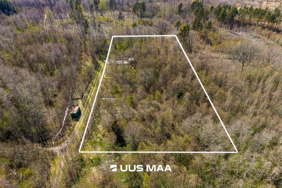 Residential land, 9865 m² land in Raasiku vald, Kulli küla - photo 4