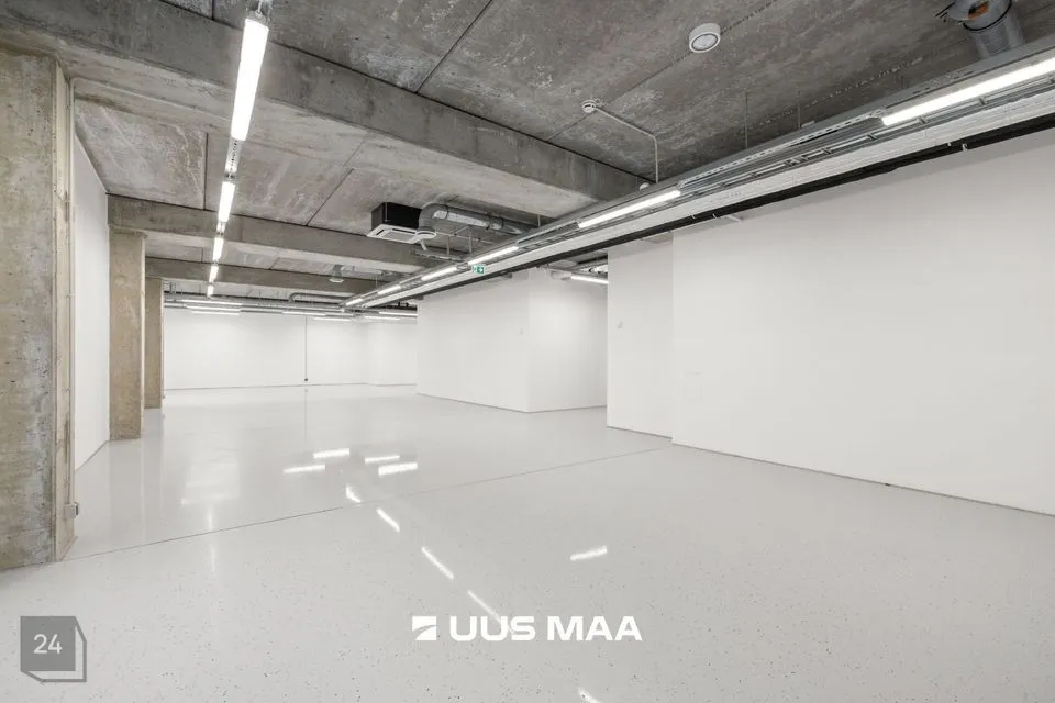 Mitme sihtotstarbega, 160 m² Äripind - Tallinn, Lasnamäe linnaosa - foto 4