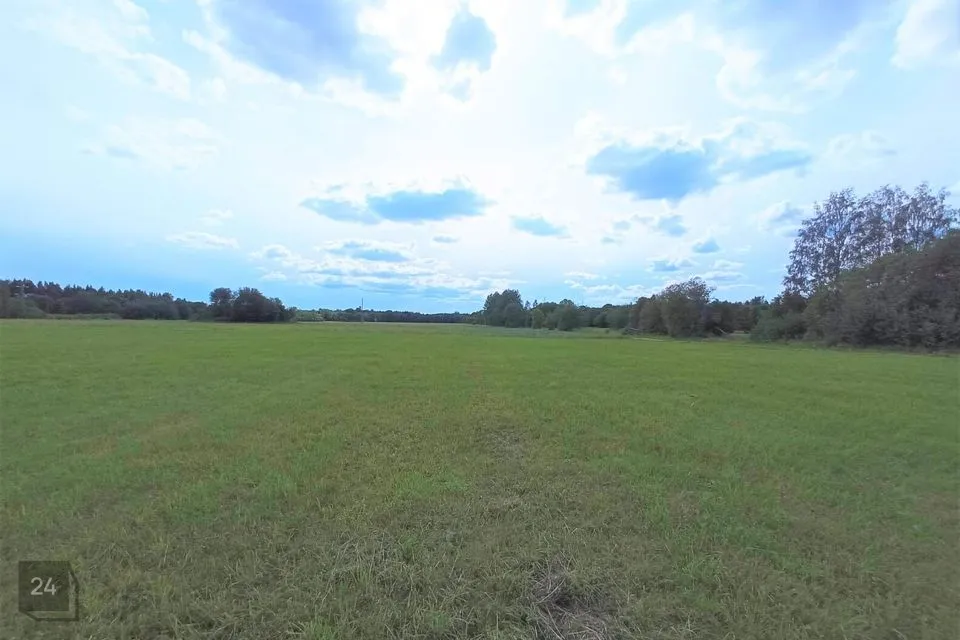 3511 m² Maa - Haljala vald, Võhma küla - foto 5