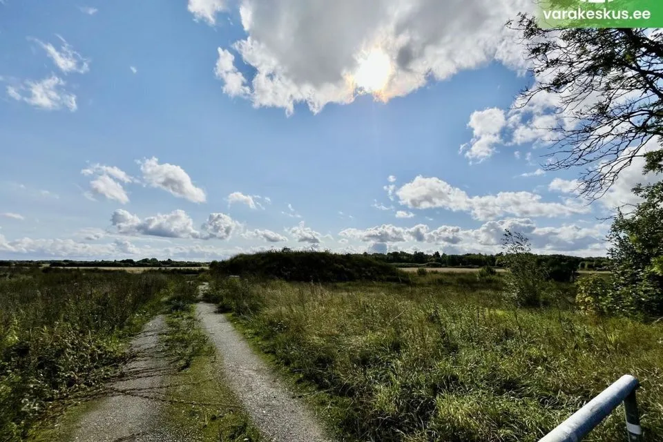 Tootmismaa või Ärimaa, 5393 m² Maa - Rae vald, Kurna küla - foto 3