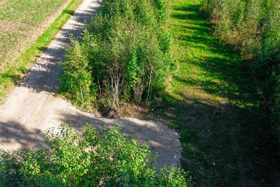 Maatulundusmaa, 19747 m² Maa  -  Märjamaa vald, Risu-Suurküla - foto 2
