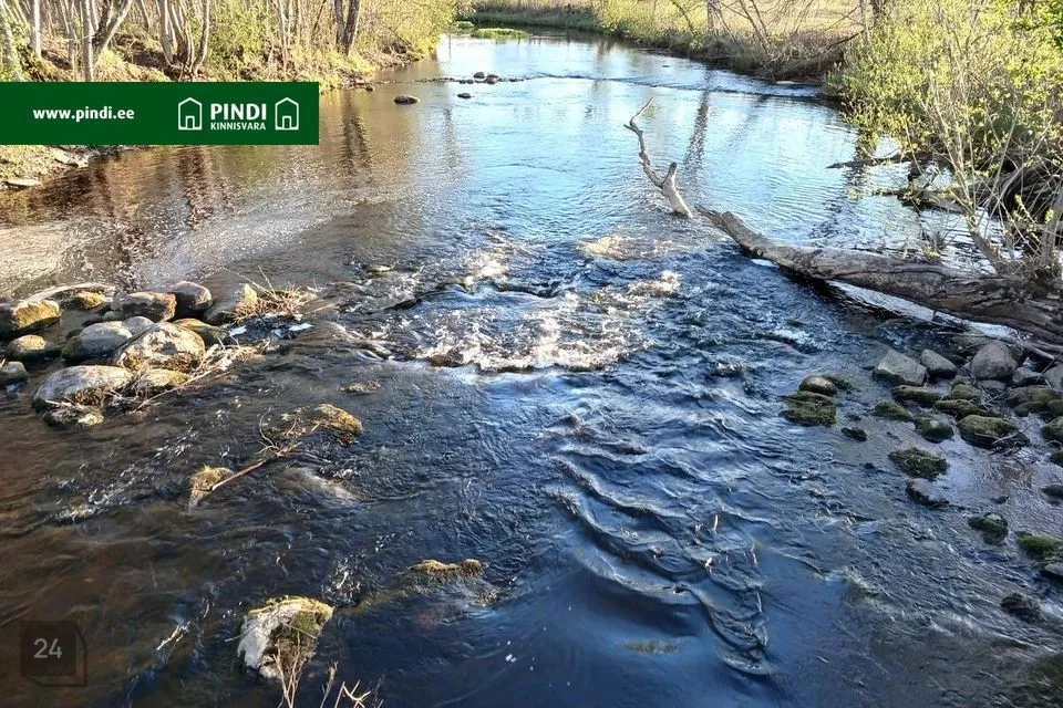 Земля жилой застройки, 13266 m² участок в Põhja-Pärnumaa vald, Säästla küla - фото 4