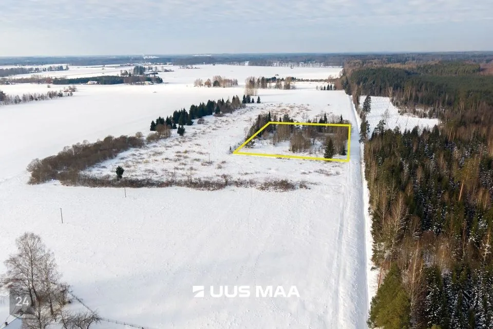 Земля производственного назначения, 10238 m² участок в Peipsiääre vald, Vara küla - фото 2