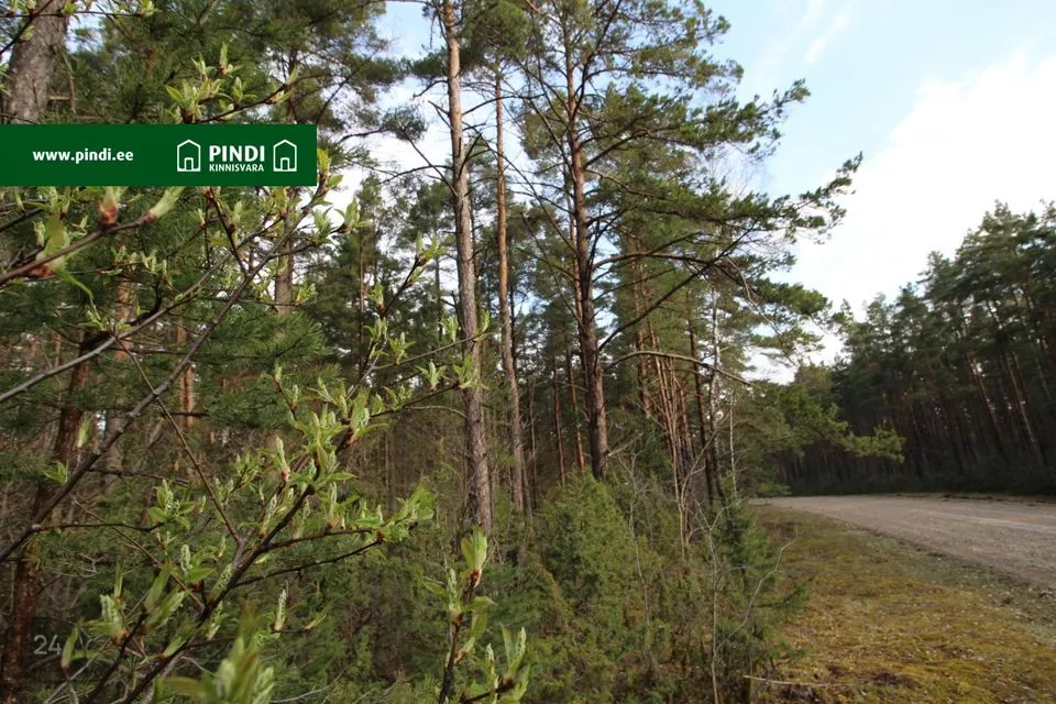 Maatulundusmaa, 12645 m² участок в Hiiumaa vald, Vahtrepa küla - фото 4