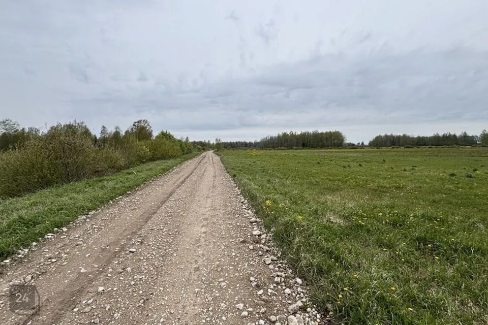 Maatulundusmaa, 115281 m² участок в Rapla vald, Lõiuse küla - фото 2