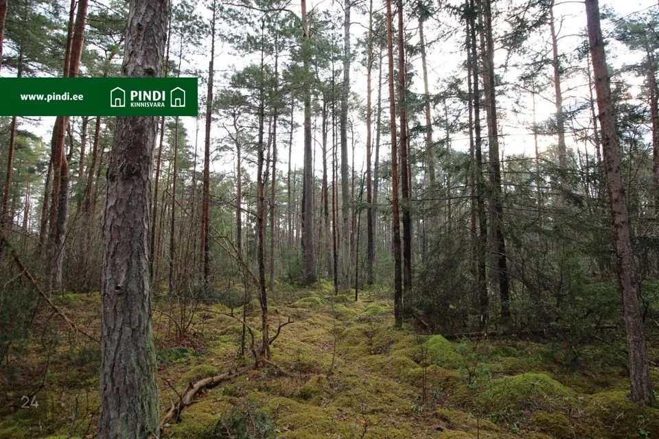 Maatulundusmaa, 13961 m² участок в Hiiumaa vald, Vahtrepa küla - фото 5