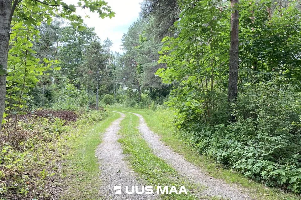 Maatulundusmaa, 11171 m² Maa  -  Saue vald, Koppelmaa küla - foto 3