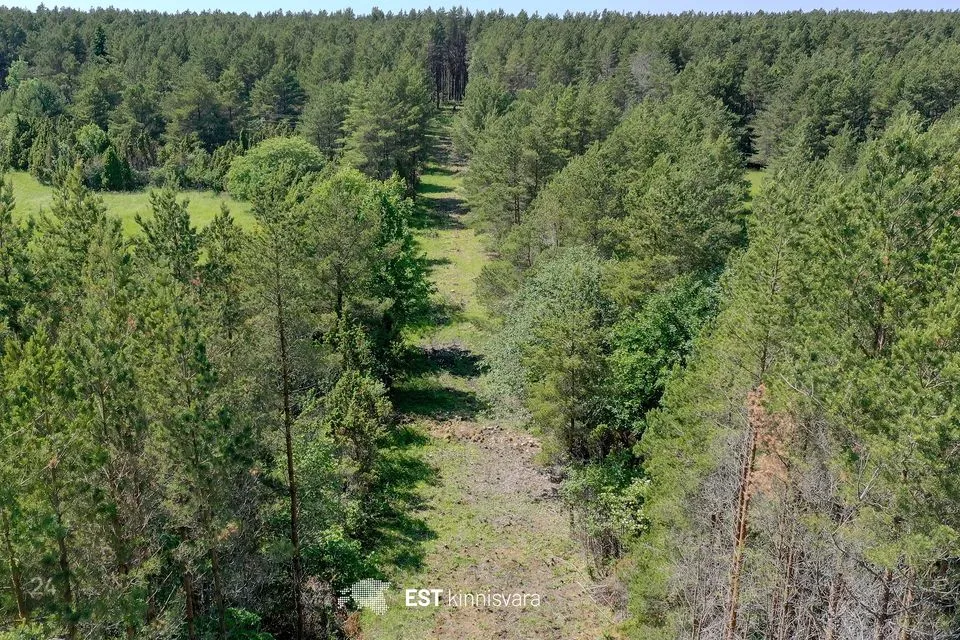 Maatulundusmaa, 67475 m² участок в Saaremaa vald, Ninase küla - фото 4