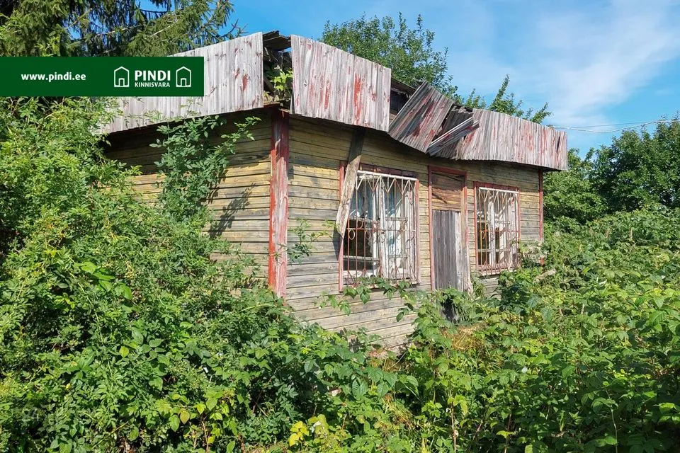 4-toaline Suvila  -  Kohtla-Järve linn, Järve linnaosa - foto 3