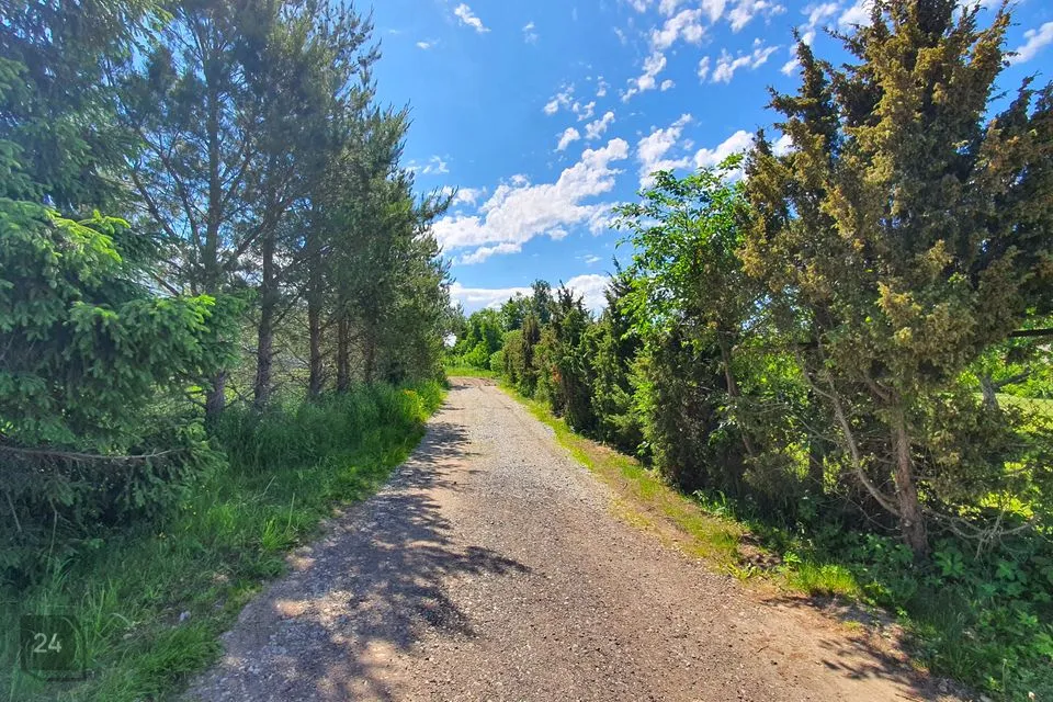 Elamumaa, 3802 m² Maa - Harku vald, Türisalu küla - foto 3