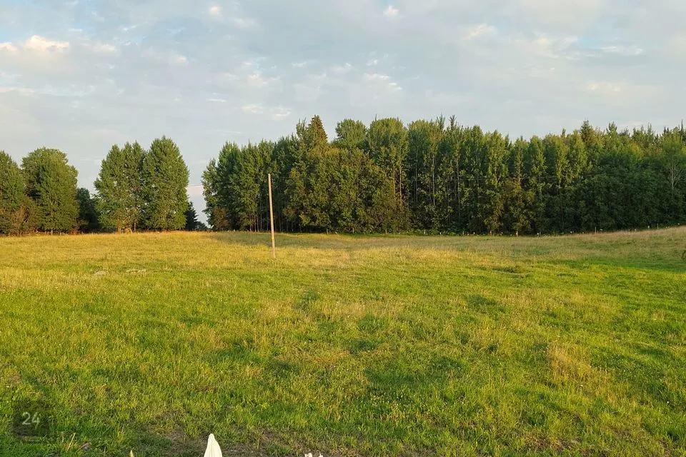 Maatulundusmaa, 6000 m² участок в Kadrina vald, Vaiatu küla - фото 2