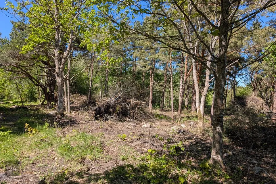 Maatulundusmaa, 4433 m² Maa - Saaremaa vald, Muratsi küla - foto 2