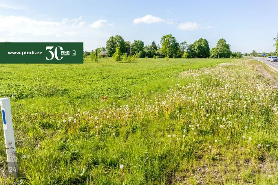 Maatulundusmaa, 21532 m² Maa  -  Kohtla-Järve linn, Ahtme linnaosa - foto 5