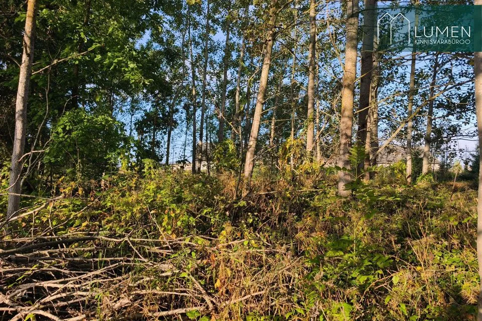 Maatulundusmaa, 1880 m² Maa  -  Võru vald, Lilli-Anne küla - foto 4