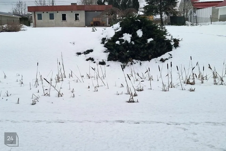 3-комнатная Дача в Valga vald, Jaanikese küla - фото 5