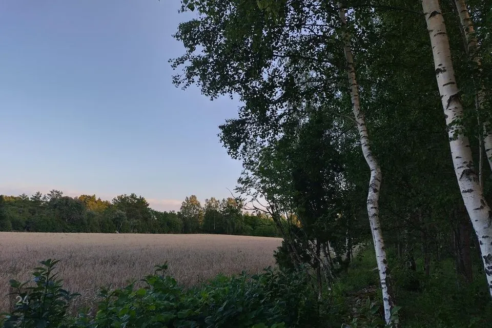 Maatulundusmaa, 16821 m² Maa  -  Saaremaa vald, Kõrkvere küla - foto 2