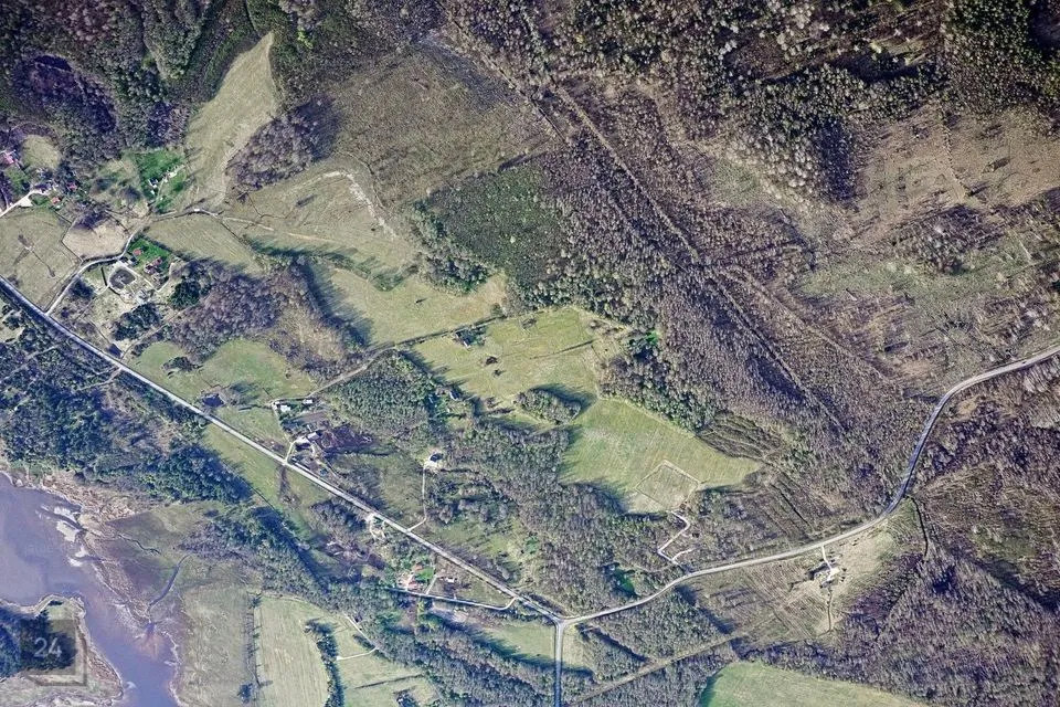 Maatulundusmaa, 36516 m² участок в Lääne-Nigula vald, Riguldi küla / Rickul - фото 3