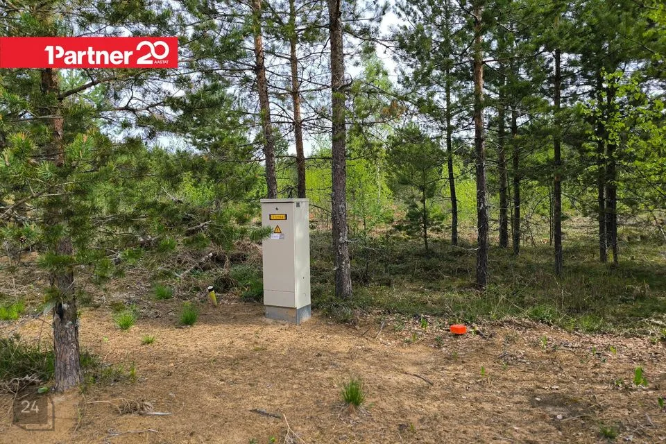 Maatulundusmaa, 15891 m² Maa - Alutaguse vald, Katase küla - foto 5