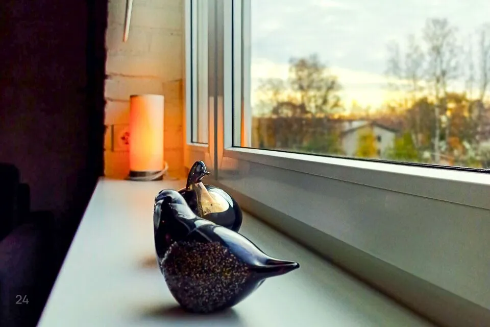 1-toaline Korter - Loksa linn - foto 3