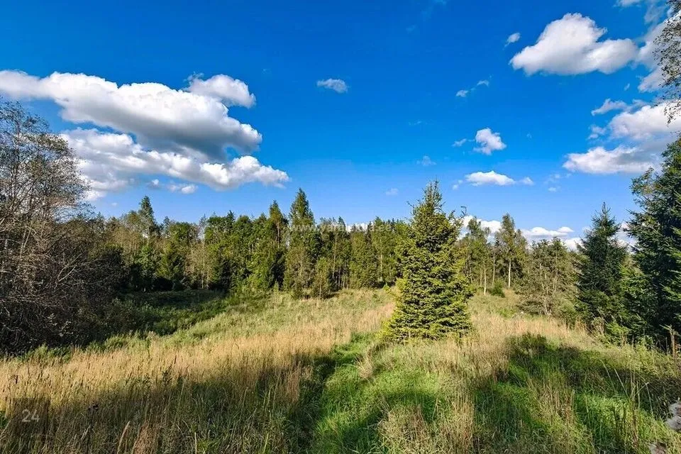 Maatulundusmaa, 58809 m² Maa  -  Otepää vald, Sihva küla