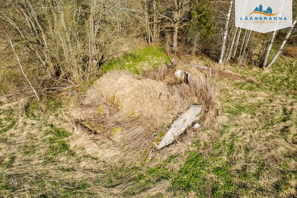 Sihtotstarbeta maa, 3126 m² Maa - Türi vald, Vilita küla - foto 3