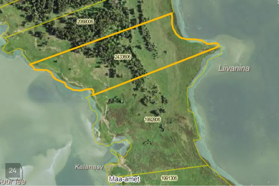 Maatulundusmaa, 116200 m² Maa  -  Lääneranna vald, Saulepi küla - foto 2