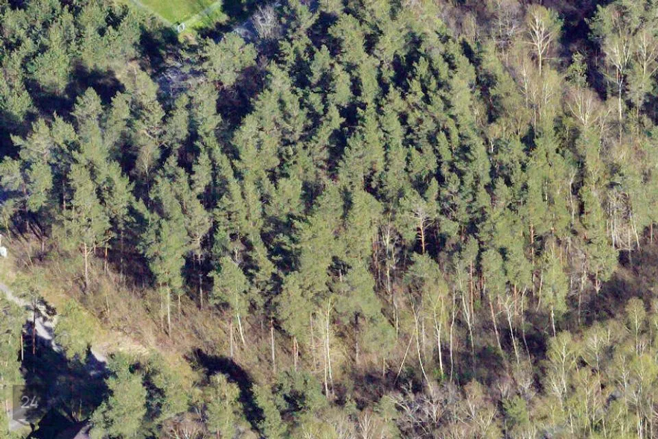 Elamumaa, 4385 m² Maa - Saaremaa vald, Muratsi küla - foto 4