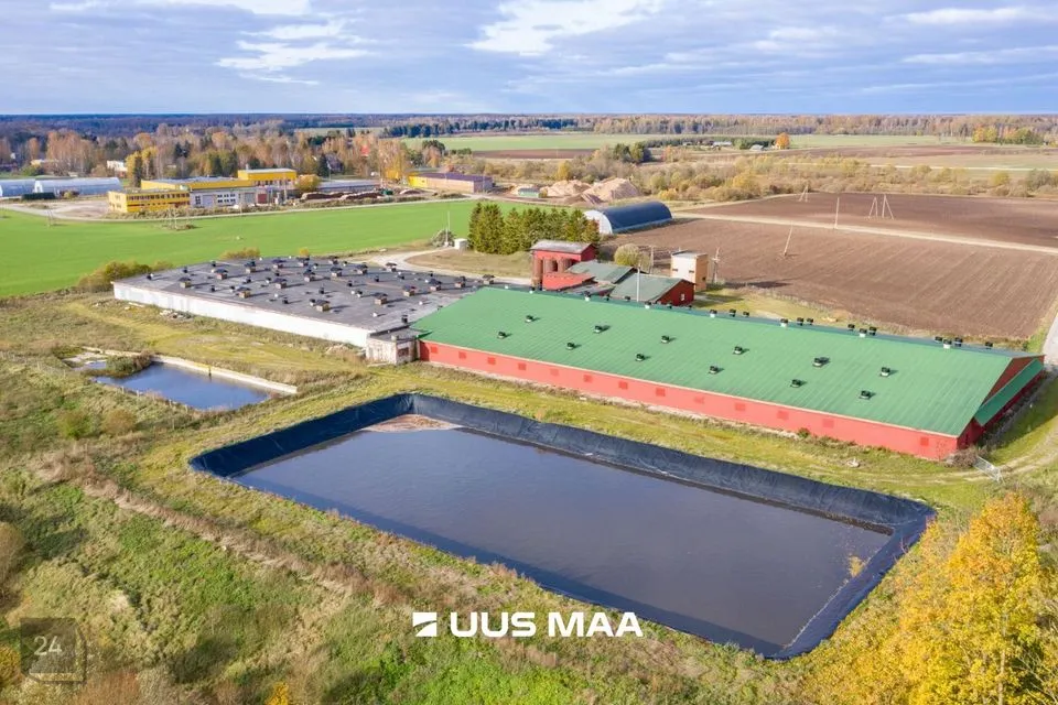 Ladu või Tootmine, 9300 m² Äripind  -  Tartu vald, Laeva küla - foto 3