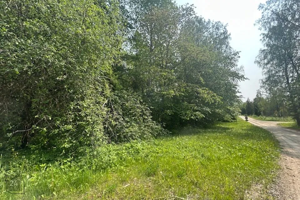 Maatulundusmaa, 3177 m² Maa  -  Türi vald, Saueaugu küla - foto 3