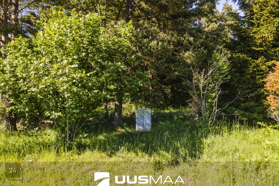 Maatulundusmaa, 23200 m² Maa - Saaremaa vald, Abaja küla - foto 4