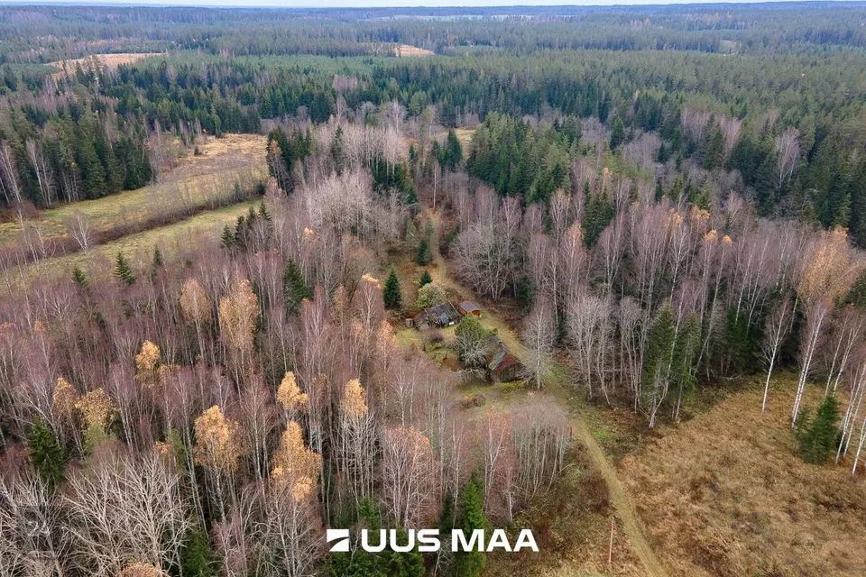 Elamumaa, 20241 m² Maa - Kanepi vald, Jõgehara küla - foto 4