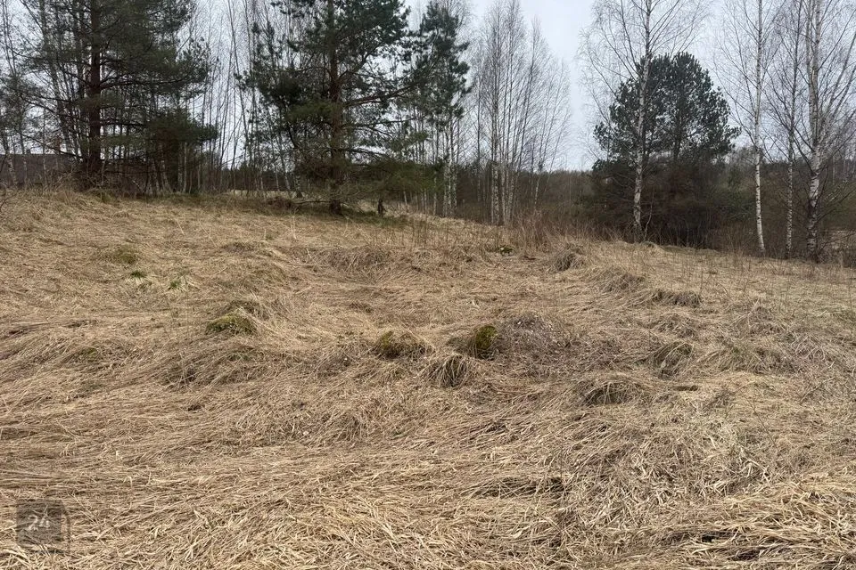 Maatulundusmaa, 14237 m² Maa  -  Setomaa vald, Vaartsi küla - foto 4