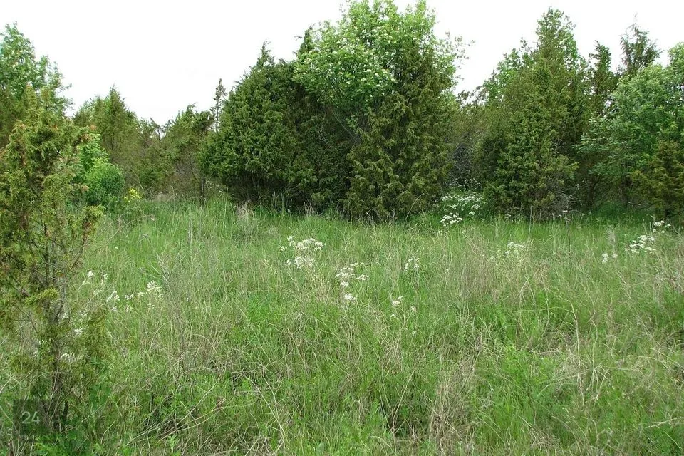 Земля жилой застройки, 5703 m² участок в Hiiumaa vald, Orjaku küla - фото 5