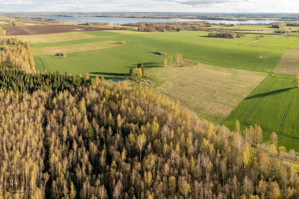 Maatulundusmaa, 44830 m² Maa - Tartu vald, Valgma küla