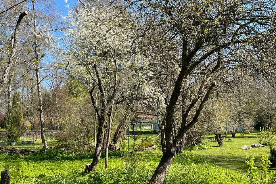 Elamumaa, 1204 m² Maa  -  Viimsi vald, Randvere küla - foto 5