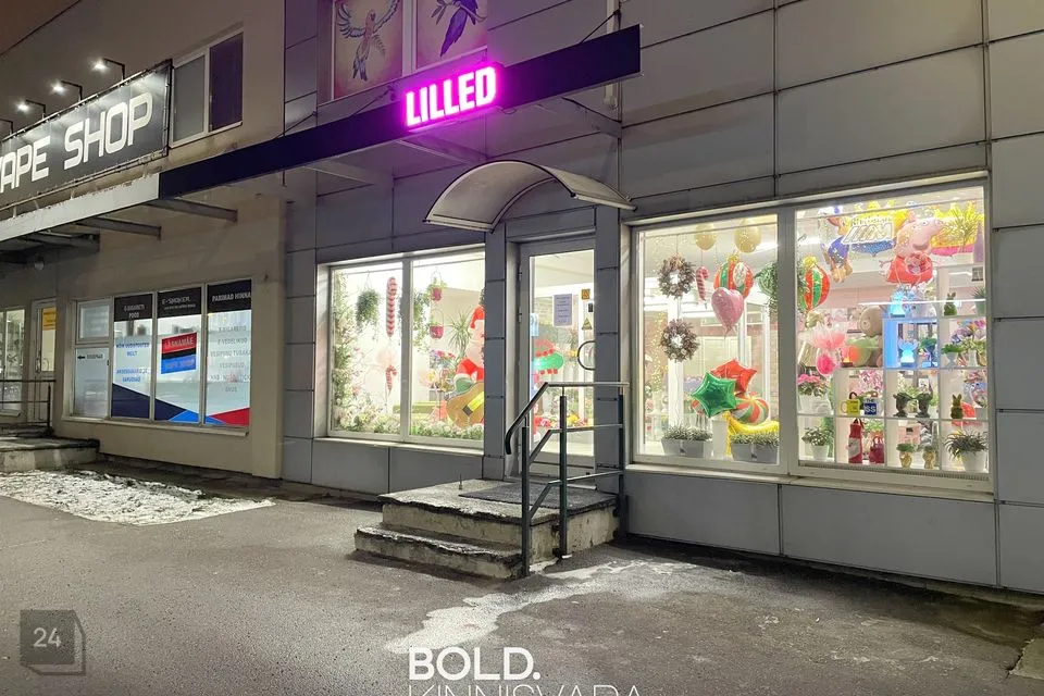 Mitme sihtotstarbega, 13 m² Äripind  -  Tallinn, Lasnamäe linnaosa