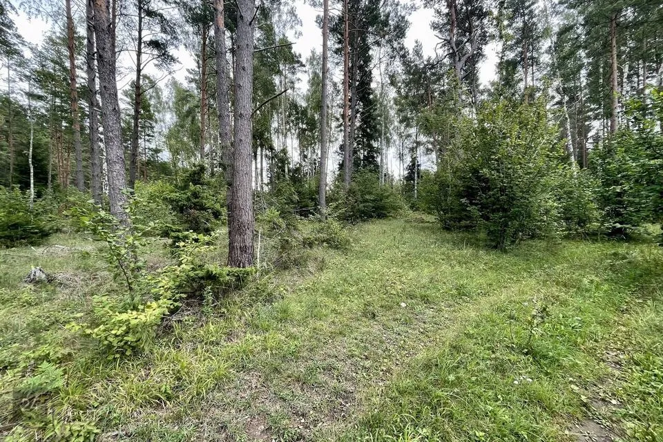 Maatulundusmaa, 25900 m² участок в Saaremaa vald, Hänga küla - фото 5