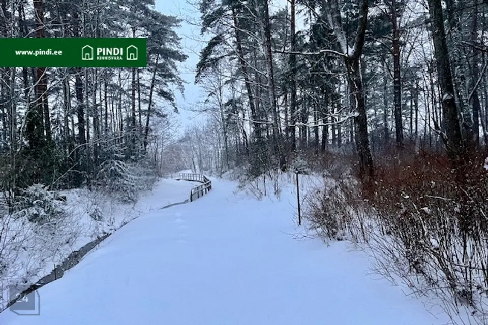 Земля жилой застройки, 4715 m² участок в Narva-Jõesuu linn, Narva-Jõesuu linn