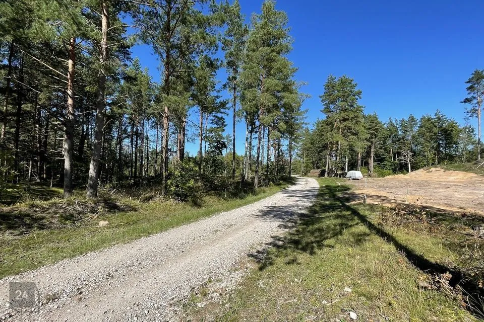 Maatulundusmaa, 24500 m² Maa - Saaremaa vald, Torgu-Mõisaküla - foto 3